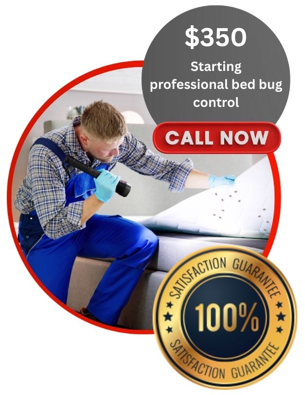 Bed Bug Removal - Icon Pest Control