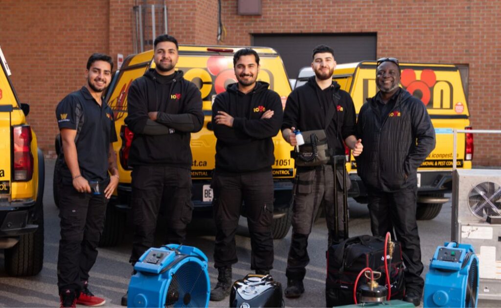 Icon Pest Bed Bug Team